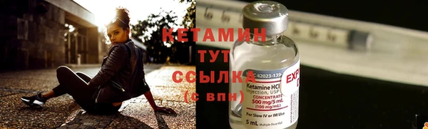 трава Осинники