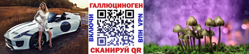 Галлюциногенные грибы Psilocybe  закладки  Фурманов 